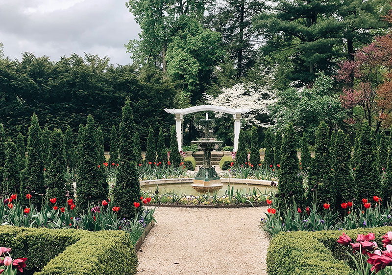 Gallery Gazons de Fontainebleau Experts du gazon en rouleau