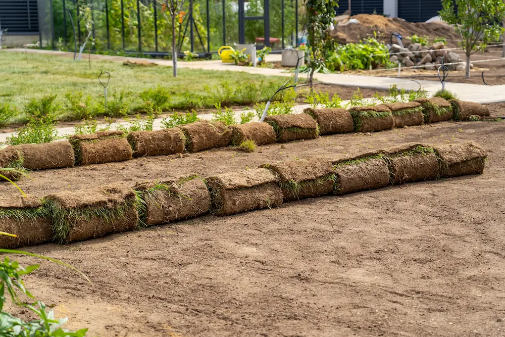 preparation-rouleau-gazon-naturel