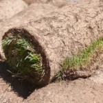 Comment recycler et réutiliser les chutes de gazon en rouleau