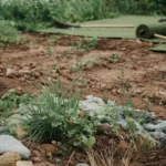 Les erreurs à éviter lors de la préparation du sol pour gazon en rouleau