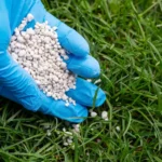 Fertiliser son gazon en rouleau : quels produits et quand les utiliser ?