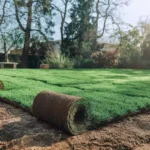 Rénover une ancienne pelouse avec du gazon en rouleau : étapes et astuces